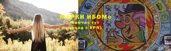 стафф Бронницы