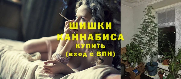стафф Бронницы