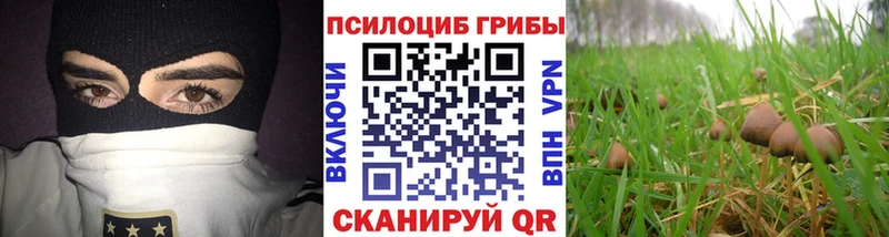 Псилоцибиновые грибы мицелий  Дзержинский 